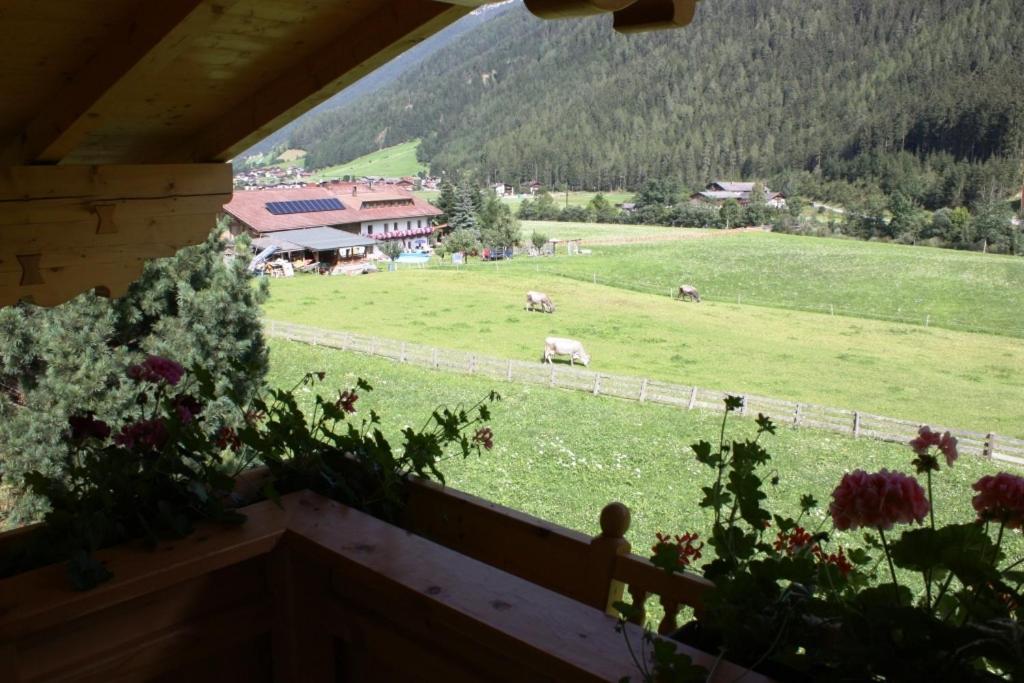 Landhaus Alpensonne Neustift im Stubaital Exteriér fotografie