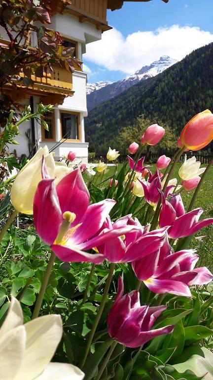 Landhaus Alpensonne Neustift im Stubaital Exteriér fotografie